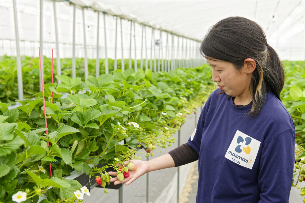 一期生扶蘇さん