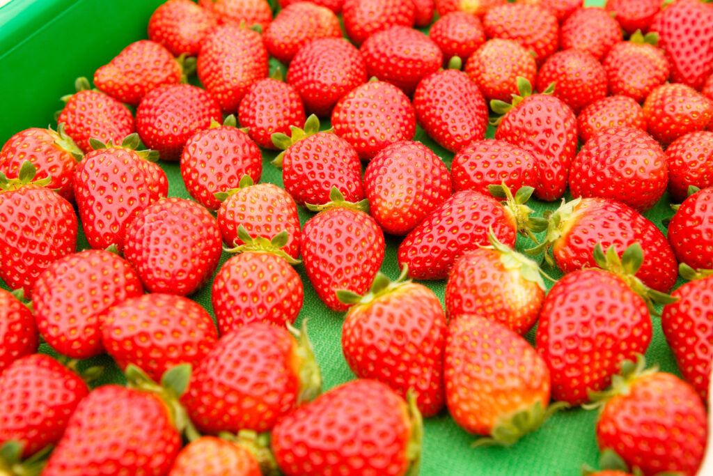 一期生扶蘇さんのいちご