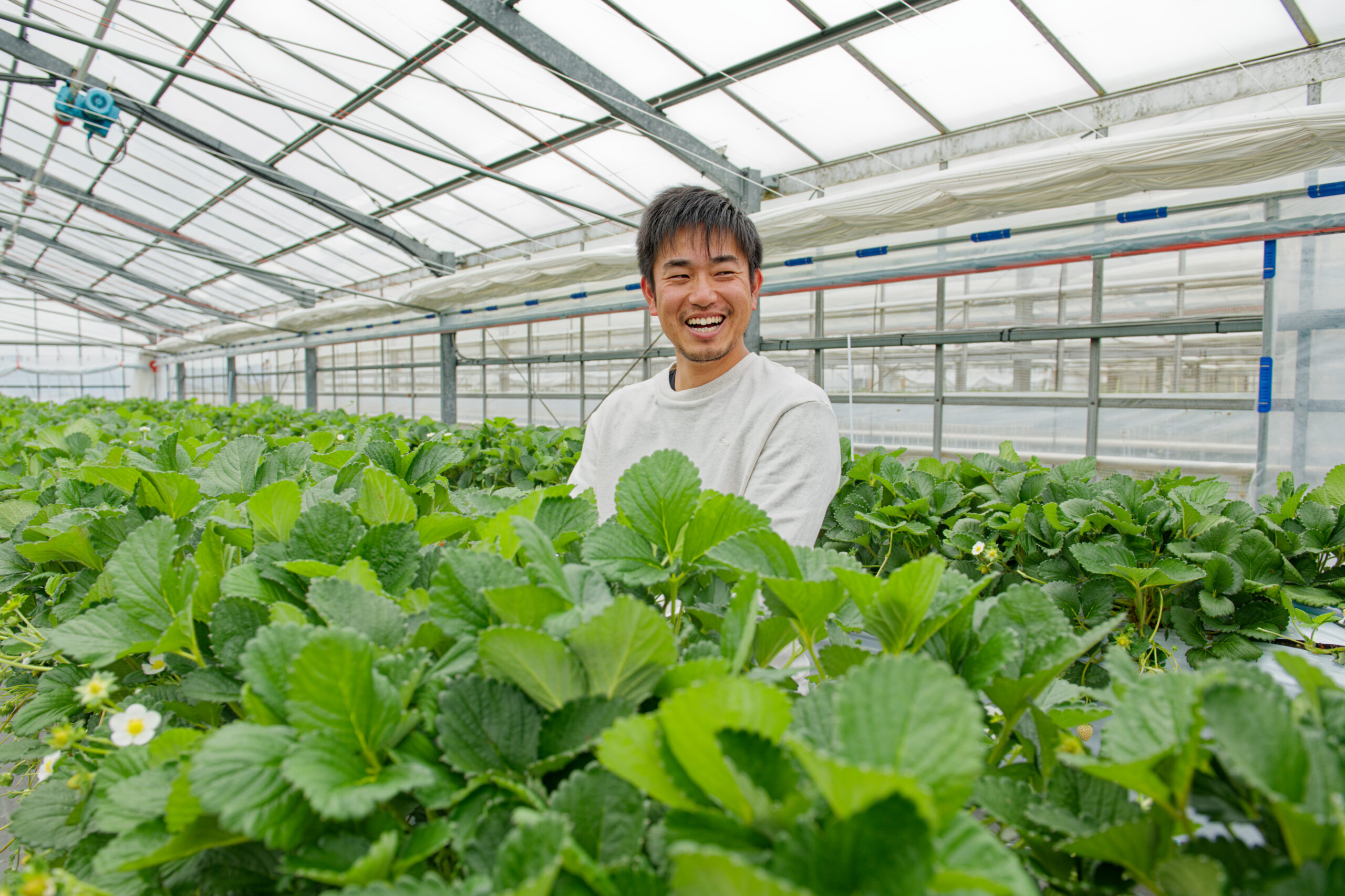 紀の川アグリカレッジ第1期生　藤田大介さん